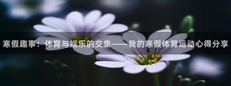 沐鸣2官网登录