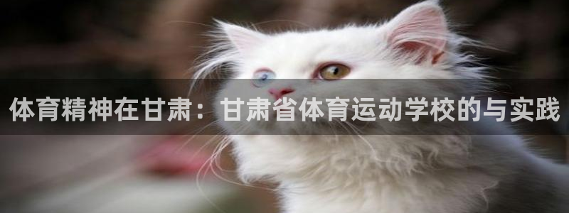 沐鸣2官网注册