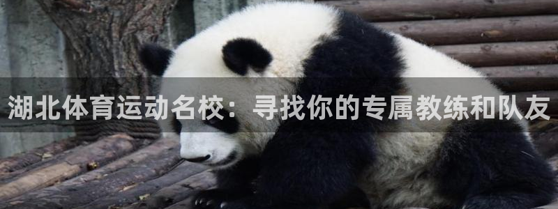 沐鸣22体育登录入口