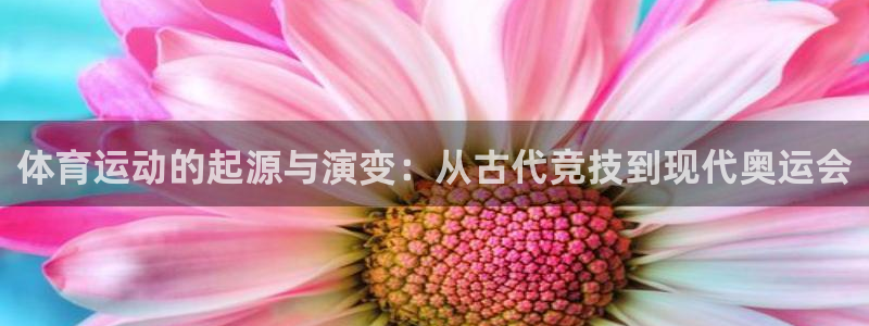佛山市南海沐鸣2机电仪器有限公司