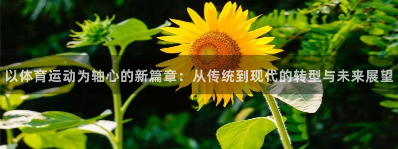 沐鸣2平台代理