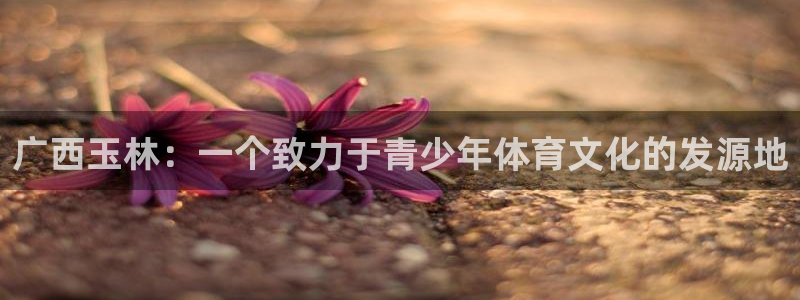 沐鸣2体育注册