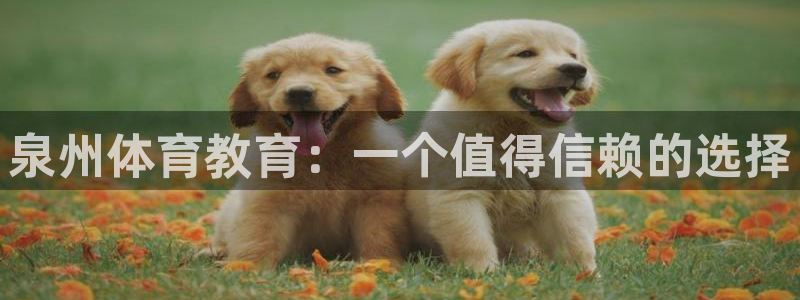 沐鸣2登录测速