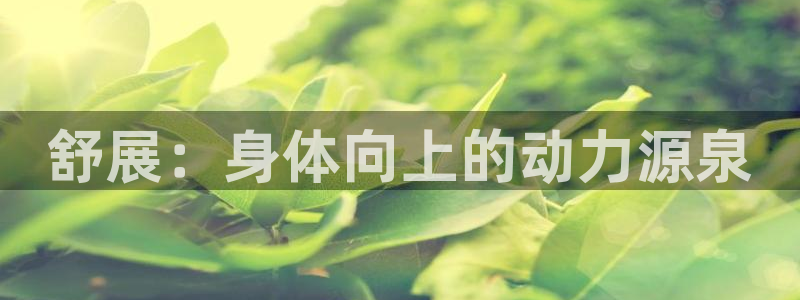 成都沐鸣2电子有限公司