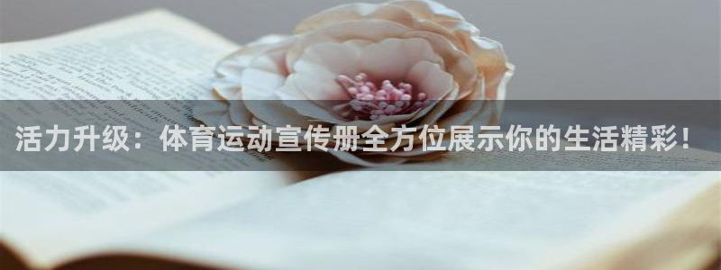 沐鸣2测速登陆