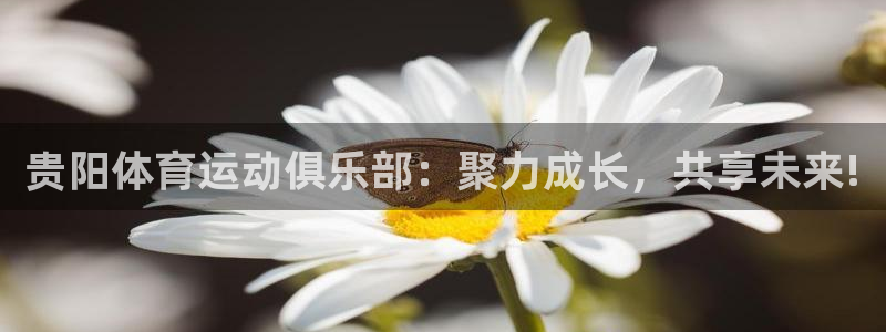 沐鸣23登陆