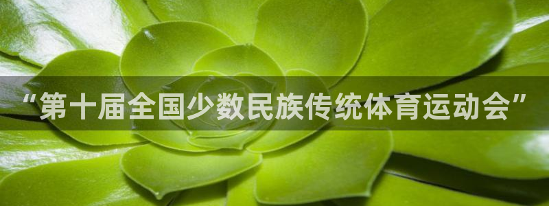 东莞市沐鸣2电子科技有限公司