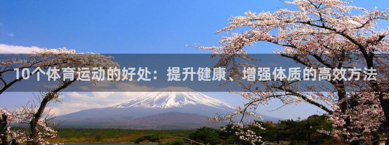 沐鸣平台主管