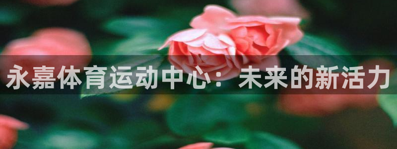 彩神iiv登录首页