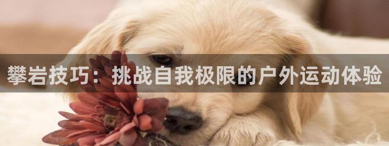 沐鸣22登录