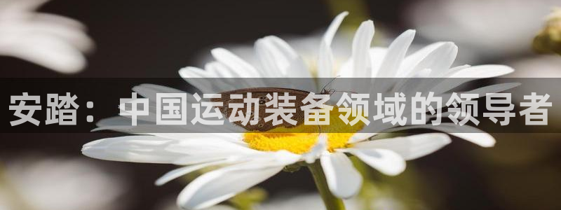 沐鸣2体育凯捷平台注册