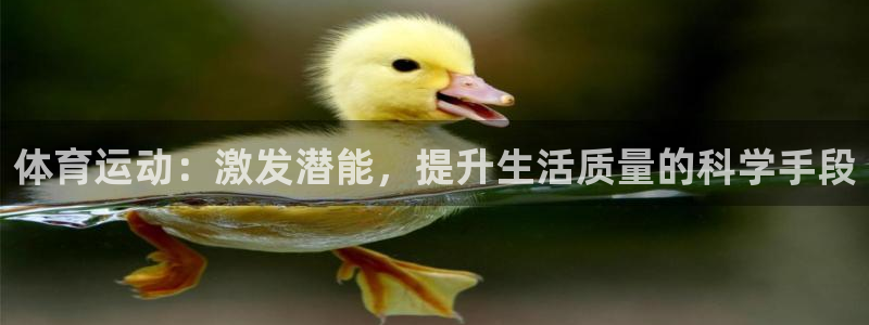 沐鸣2官网注册