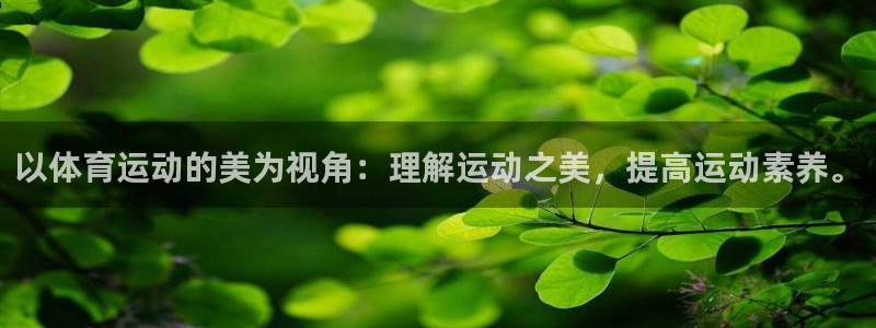 沐鸣2能源