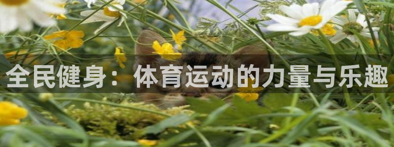 沐鸣2平台