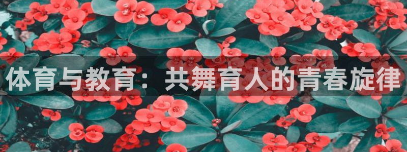 沐鸣注册地址