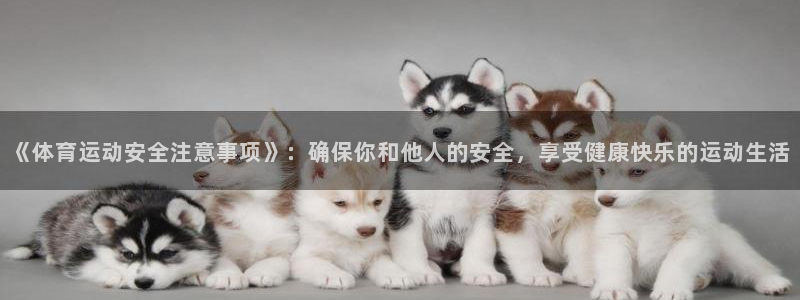 沐鸣25招商