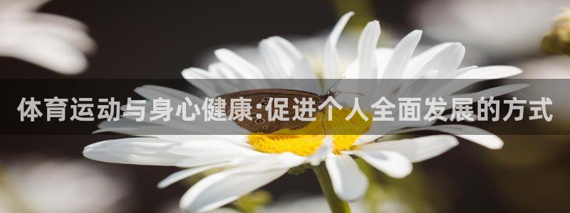 沐鸣2手机网页版