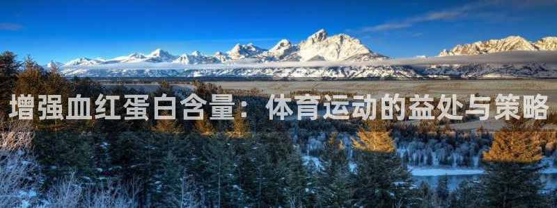 上海沐鸣2汽车电子有限公司