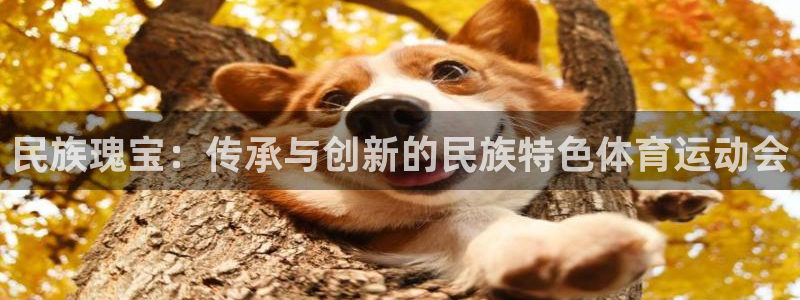 沐鸣2体育